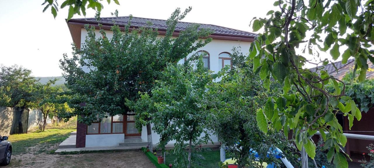 Agropensiunea Olteanu Niculitel Kültér fotó